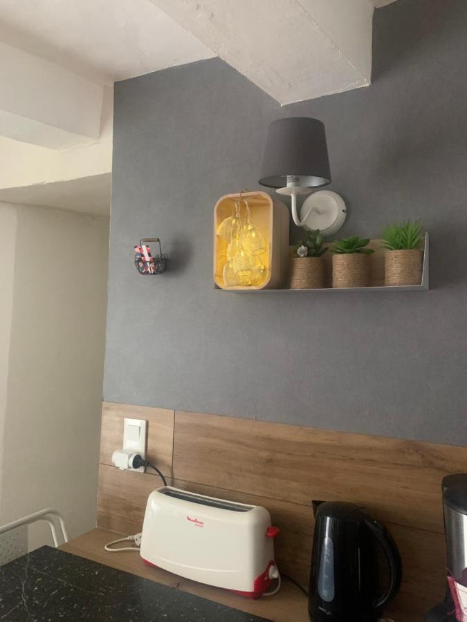 La Petite Adresse De Rose Maison De Vacances Entree Autonome Le Poujol-sur-Orb Exterior foto